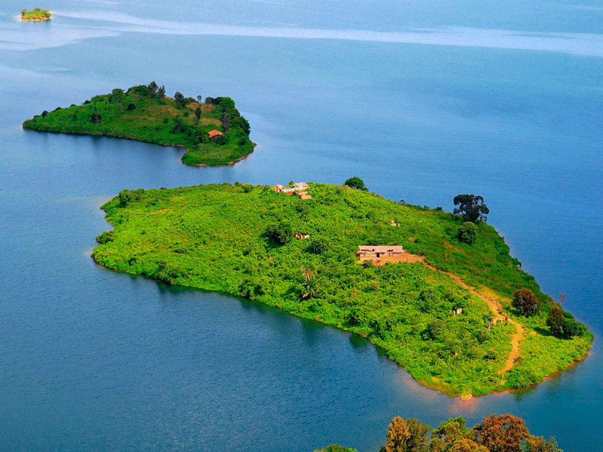 4 Days private Rwanda Gorilla & Lake Kivu Safari